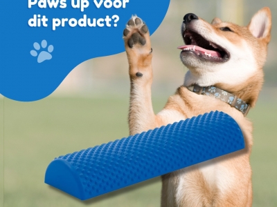 Dog Balance Bar